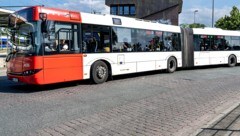 Der 15-Jährige legte außergewöhnliche Detailkenntnis an den Tag und begleitete einen Buslenker während seiner Tour. (Bild: stock.adobe.com/Björn Wylezich)