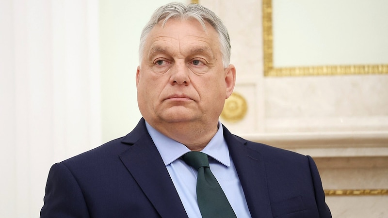 Die Regierung von Ministerpräsident Viktor Orbán führt derzeit den EU-Ratsvorsitz. (Bild: APA/AFP/POOL/Valery SHARIFULIN)