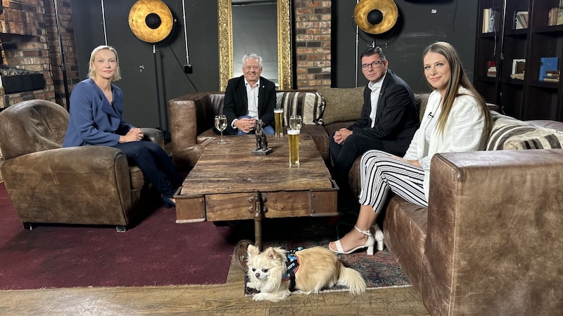 Caroline Hungerländer, Hans Arsenovic, Udo Guggenbichler, Tanja Pfaffeneder (von links nach rechts) (Bild: krone.tv)