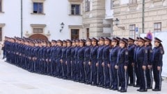 Mehr als 1000 Polizeischüler sollen heuer ihren Dienst in Wien antreten. (Bild: Zwefo)