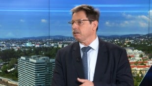 Islamwissenschaftler Walter Posch im krone.tv Interview (Bild: krone.tv )