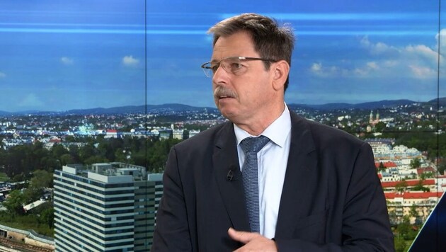 Islamic scholar Walter Posch in an interview with krone.tv (Bild: krone.tv )