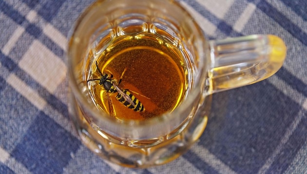 It is best to look into the glass before drinking so that you don't get a wasp in your throat. (Bild: Alois Litzlbauer)