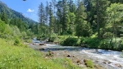 Die Wanderung entlang des Marulbachs bietet an heißen Tagen angenehme Abkühlung. (Bild: Bergauer Rubina)