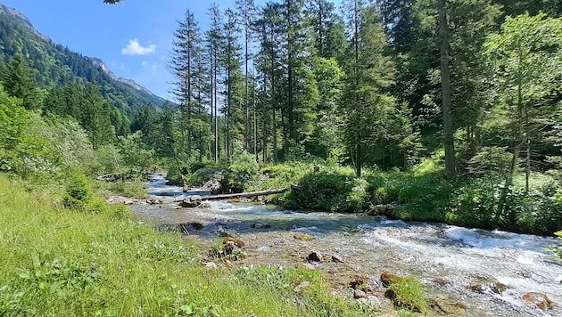 The hike along the Marulbach stream offers pleasant cooling on hot days. (Bild: Bergauer Rubina)