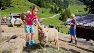 Bei den zahlreichen Almen gibt es viel zu entdecken (Bild: Ferienregion_Nationalpark_Michael_Huber)