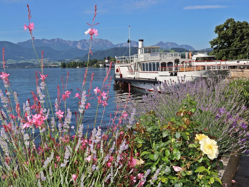 Jedes Jahr Mitte August zieht der Meteorstrom der Perseiden an der Erde vorbei. An diesem Wochenende wird der Höhepunkt dieses Spektakels erwartet. Eine Schifffahrt am Traunsee bietet gute Sicht. Kosten: 53 Euro  Datum: 10. 8., Ersatztermin: 11. 8. Infolink: www.traunsee-almtal.at (Bild: Hörmandinger Marion/Marion Hörmandinger)