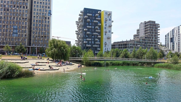 More than a third of Seestadt has already been completed. (Bild: Schöndorfer Karl/Karl Schöndorfer TOPPRESS)