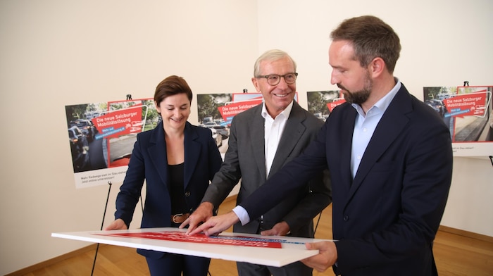 Svazek, Haslauer and Schnöll are more positive.