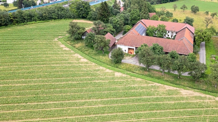She was buried in this field on the outskirts of Linz - next to a farm.