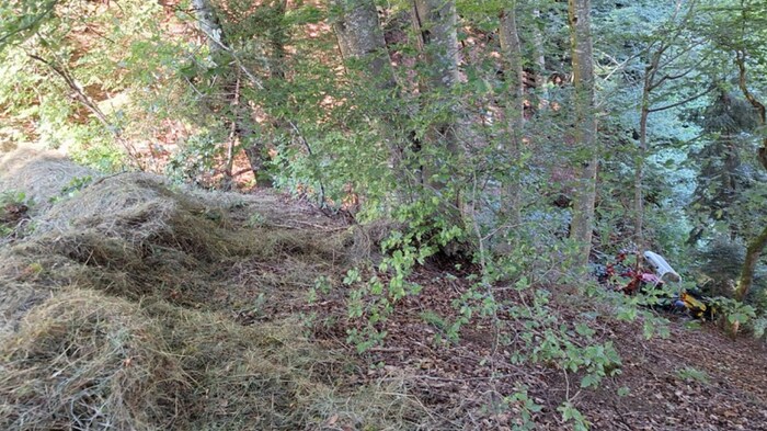 Das abgestürzte Mähgerät kam in einem Waldstück zum Liegen.