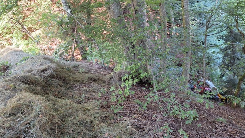 Das abgestürzte Mähgerät kam in einem Waldstück zum Liegen. (Bild: Ortsfeuerwehr Schruns)