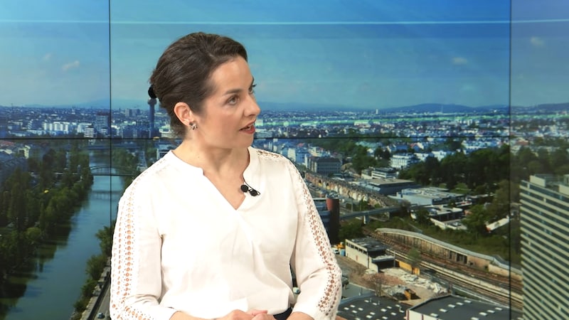 Lisa Fellhofer, die Leiterin der Dokumentationsstelle Politischer Islam (Bild: krone.tv)