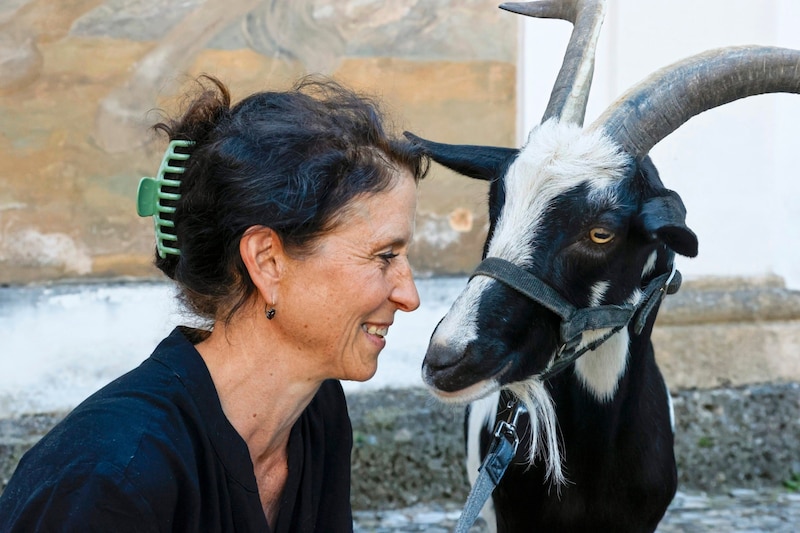 Ziegenbock Peter (mit Katja Hawliczek) folgte heuer auf seinen Vater Josef. (Bild: Markus Tschepp)