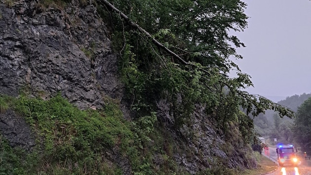 Bei Johnsbach drohte ein umgeknickter Baum auf die Fahrbahn zu stürzen. (Bild: FF Liezen)