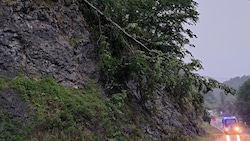 Bei Johnsbach drohte ein umgeknickter Baum auf die Fahrbahn zu stürzen. (Bild: FF Liezen)