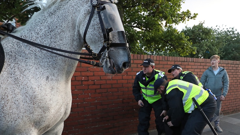 Ein Polizeipferd (Bild: AFP/Scott Heppell)