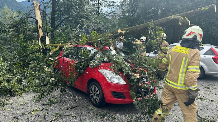 In Kirchbichl stürzte ein Baum auf ein parkendes Auto.
