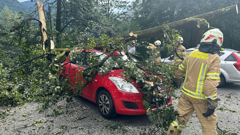 In Kirchbichl stürzte ein Baum auf ein parkendes Auto. (Bild: ZOOM Tirol)