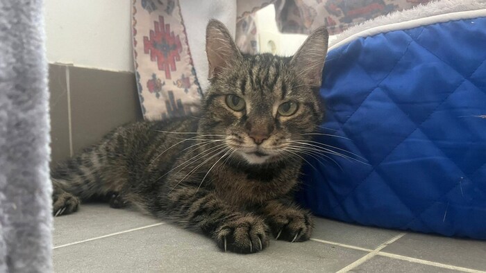 Samia deserves a loving place of mercy.