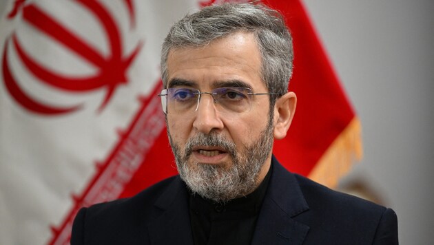 The current Iranian Foreign Minister Ali Bagheri (Bild: AFP/Amer HILABI)