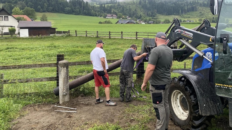 Mit vereinten Kräften und der Hilfe zweier Firmen wurde dem Storch ein „Kunsthorst“ gebaut. (Bild: Marius Treffner)