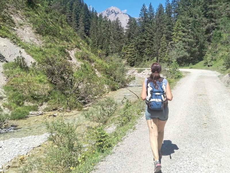 For a long time, the route runs gently and comfortably alongside the Giessenbach stream. (Bild: Peter Freiberger)