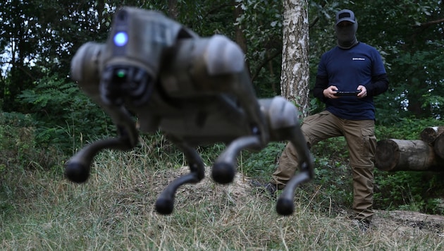 The artificial four-legged friend runs, jumps and sits down by remote control command. (Bild: AFP/AFP or licensors)