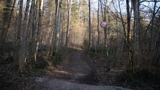 The sale of a forest was prohibited by the Land Transfer Commission. (Bild: Tröster Andreas)