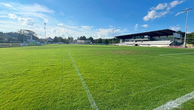 Der Rasen im Solarstadion in Gleisdorf. (Bild: zVg/FC Gleisdorf 09)