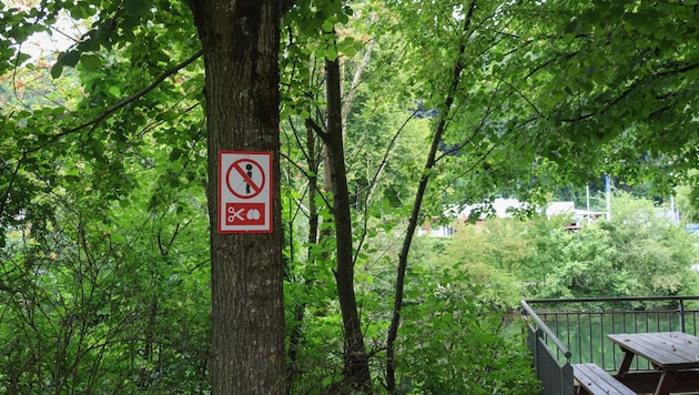 The car dealer is cracking down with signs like this one. (Bild: Lauber/laumat.at Matthias)