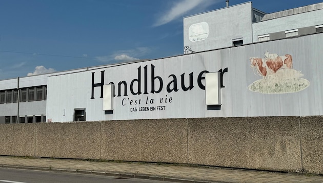 The successful Handlbauer abattoir is currently struggling because the prices for the disposal of slaughterhouse waste and animal carcasses have been massively increased - according to operator Herbert Handlbauer by as much as 30 percent. (Bild: Loy Robert)