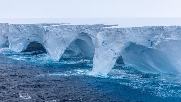 The world's largest iceberg, A23a, is currently stuck in a huge vortex of water in the Southern Ocean and has been turning on itself for months. (Bild: APA/AFP/EYOS Expeditions/Richard Sidey)