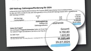 Seit 1. Jänner 2024 müssen Haushalte 15,30 Euro pro Monat an die ORF-Beitrags Service GmbH (OBS) ...