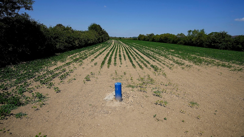 Test drilling site in the Jadar Valley (Bild: APA/AP)