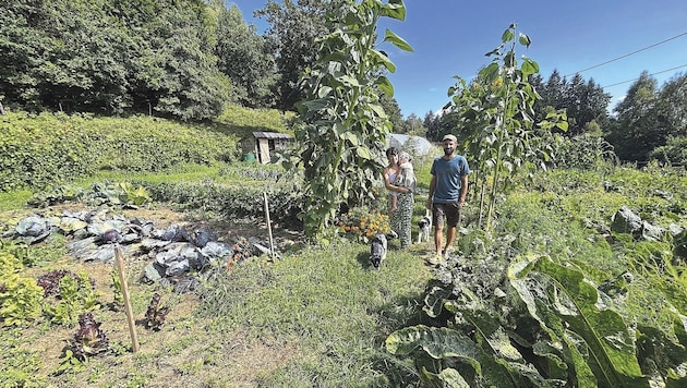 Anna and Johannes Wedenig feel at home in the countryside. (Bild: Elisa Aschbacher)