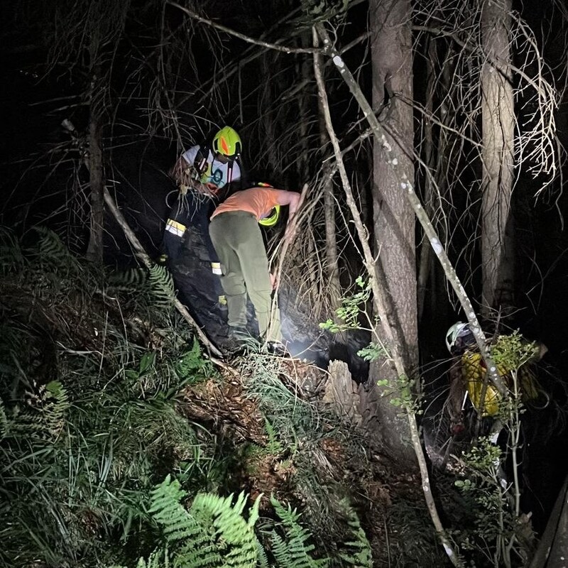 Der Waldboden wurde für das effektive Eindringen des eingeflogenen Löschwassers von den Feuerwehren händisch umgegraben (Bild: FF St. Jakob im Rosental)