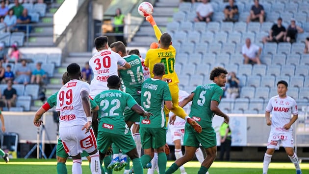 Goalkeeper Adam Stejskal was the tower in the 0:0 battle at the end. (Bild: GEPA)