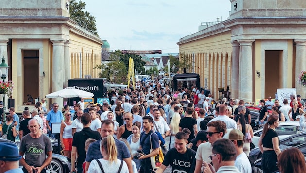 Rund 3000 Besucher kamen im Vorjahr zum „Festival of Speed“ vor dem Schloss Esterhazy. Auch heuer werden viele Autonarren erwartet.  (Bild: Pressluft)