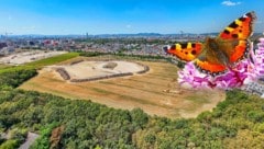 Drohnen-Foto: Aus der Vogelperspektive ist gut zu erkennen, wie groß der Park wird. (Bild: Krone KREATIV/Christian Fürthner, Georg Wastl)