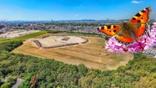 Drohnen-Foto: Aus der Vogelperspektive ist gut zu erkennen, wie groß der Park wird.