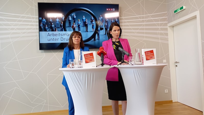 Martha Schultz (links) und Barbara Thaler stellen altbekannte Forderungen. (Bild: Manuel Schwaiger)