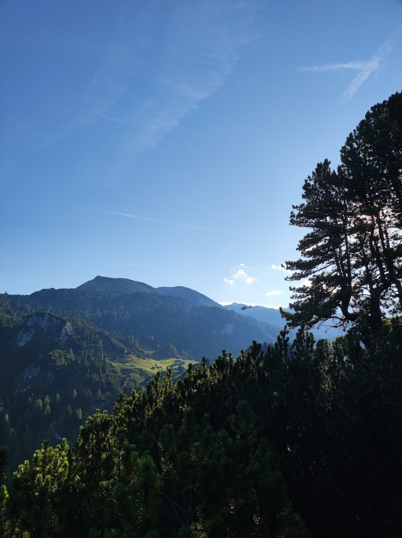 Zig Bergretter sind samt Hundestaffel vor Ort. (Bild: Bergrettung Steiermark)