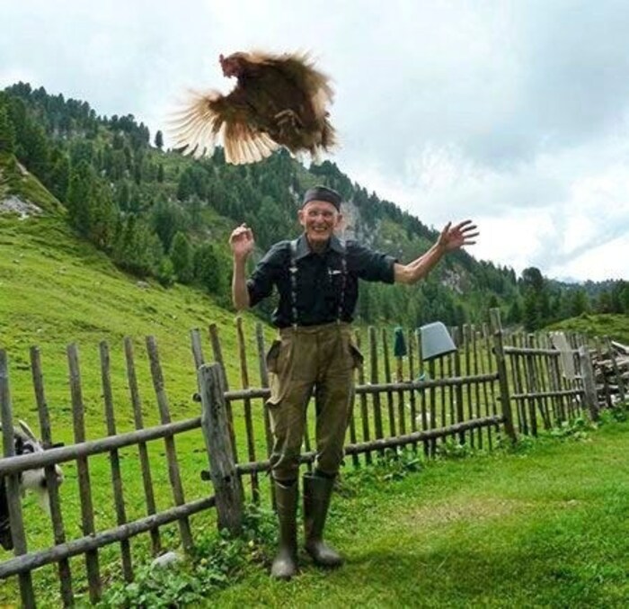 The 81-year-old has a heart for animals.