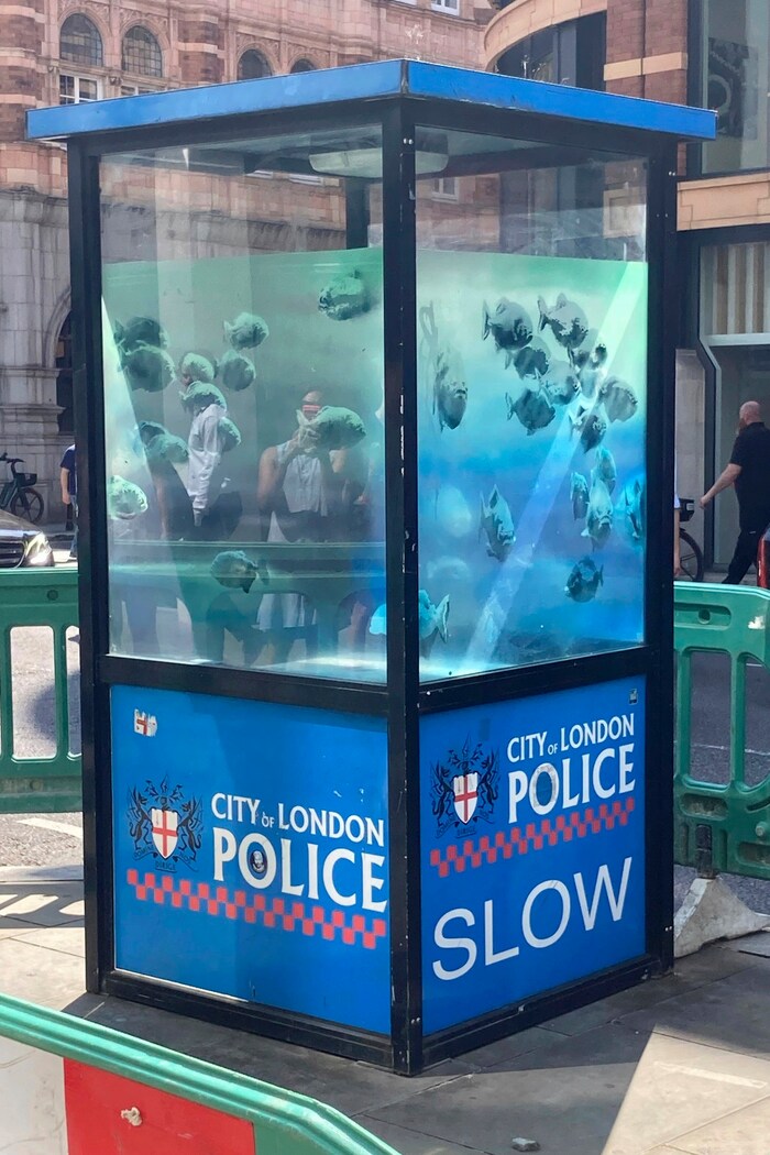 The aquarium into which Banksy transformed a police box is particularly colorful.