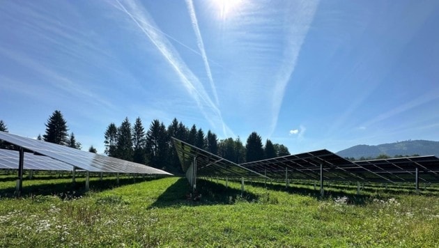 The 19,000 PV modules covering a total of six hectares supply around 16 gigawatt hours of electricity per year. (Bild: Hannes Mößlacher)