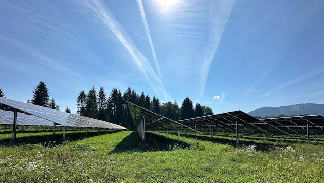 More and more Carinthian meadows are being used to generate electricity. (Bild: Hannes Mößlacher)