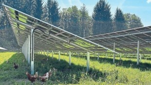 Oben liefert die Sonne Energie, drunter scharren Hühner.