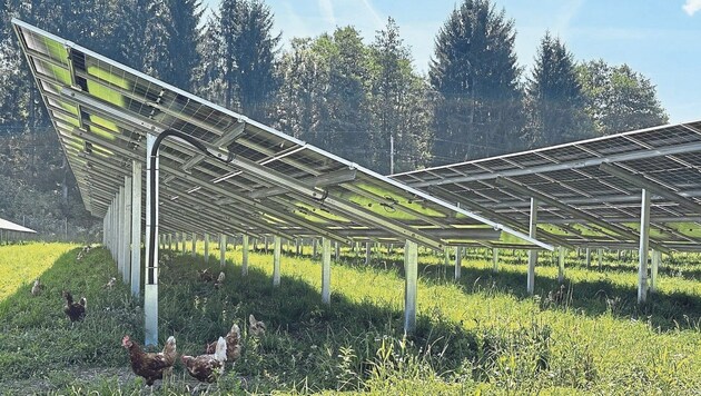 Above, the sun provides energy, below, chickens scratch around. (Bild: Hannes Mößlacher)