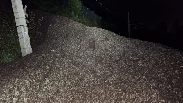 Masses of debris shifted the rails. (Bild: ÖBB/SAE West)